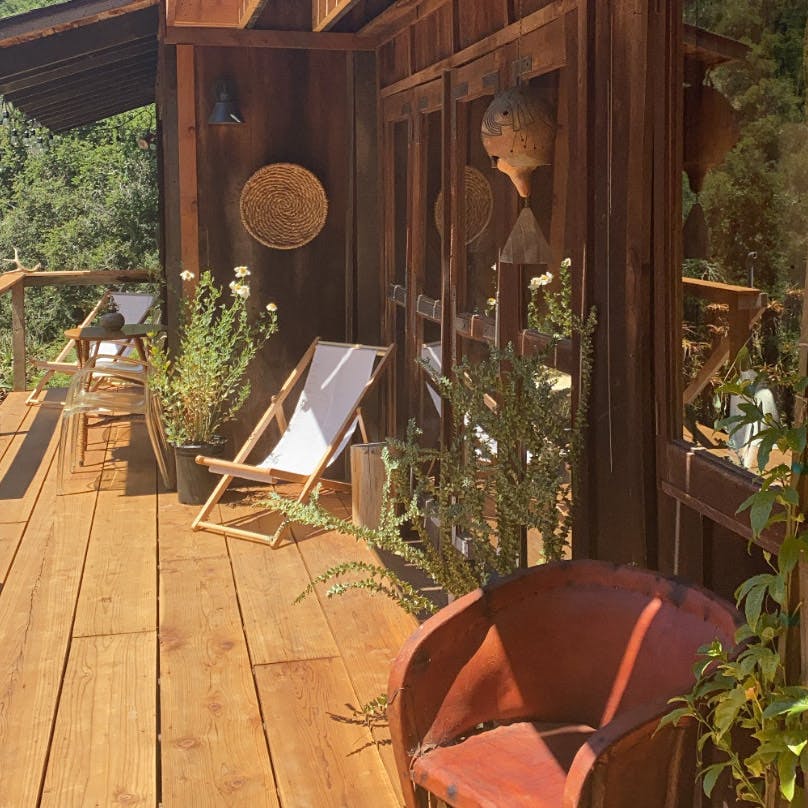 Yellow Zebra Upholstered Custom Cabana Chair The Inside Furniture